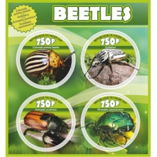 Fauna Beetles
